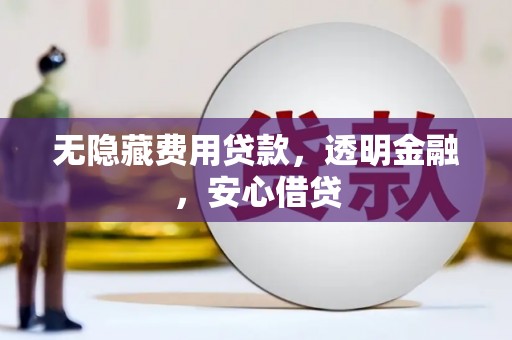 琼中无隐藏费用贷款，透明金融，安心借贷