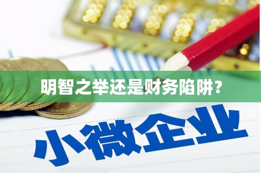 琼中明智之举还是财务陷阱？