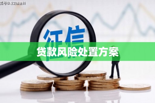 琼中贷款风险处置方案