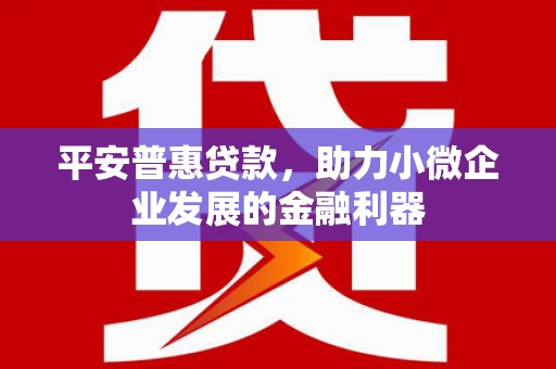 琼中平安普惠贷款，助力小微企业发展的金融利器
