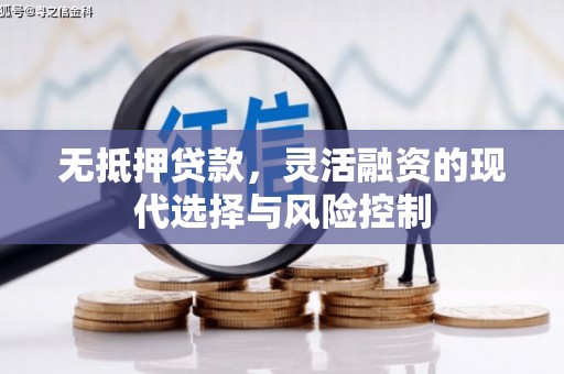 琼中无抵押贷款，灵活融资的现代选择与风险控制