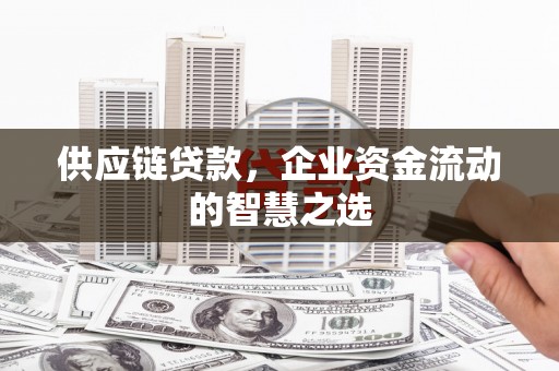 琼中供应链贷款，企业资金流动的智慧之选