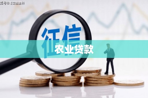 琼中农业贷款