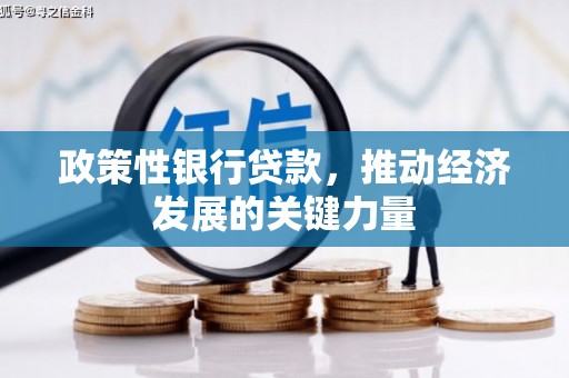 琼中政策性银行贷款，推动经济发展的关键力量