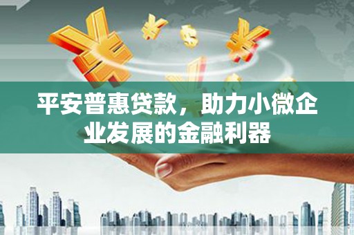 琼中平安普惠贷款，助力小微企业发展的金融利器