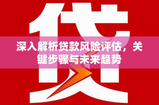 琼中深入解析贷款风险评估，关键步骤与未来趋势