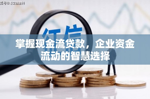 琼中掌握现金流贷款，企业资金流动的智慧选择