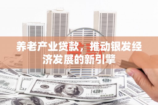 琼中养老产业贷款，推动银发经济发展的新引擎