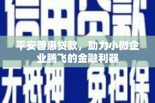 琼中平安普惠贷款，助力小微企业腾飞的金融利器