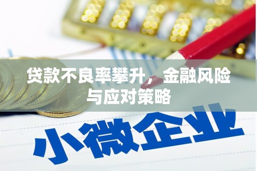 琼中贷款不良率攀升，金融风险与应对策略