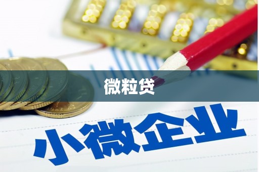 琼中微粒贷