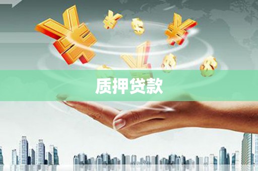琼中质押贷款