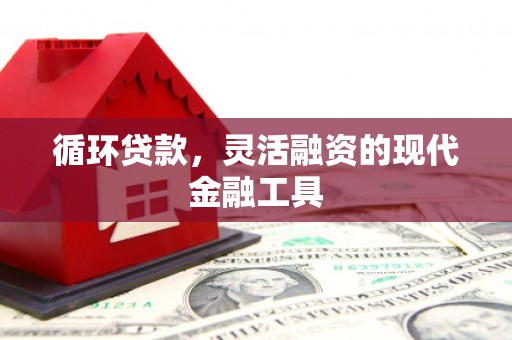 琼中循环贷款，灵活融资的现代金融工具