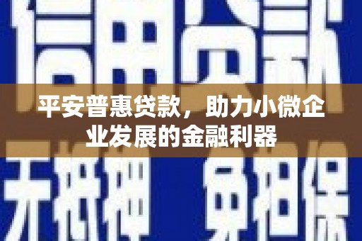 琼中平安普惠贷款，助力小微企业发展的金融利器