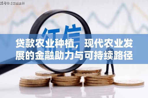 琼中贷款农业种植，现代农业发展的金融助力与可持续路径