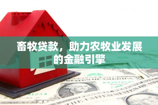 琼中畜牧贷款，助力农牧业发展的金融引擎