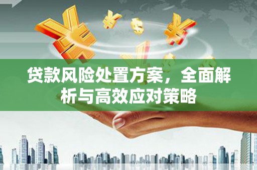 琼中贷款风险处置方案，全面解析与高效应对策略