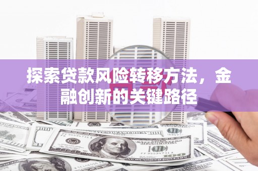 琼中探索贷款风险转移方法，金融创新的关键路径