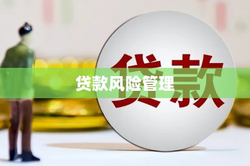 琼中贷款风险管理