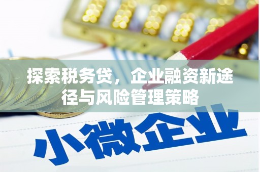 琼中探索税务贷，企业融资新途径与风险管理策略