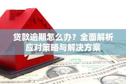 琼中贷款逾期怎么办？全面解析应对策略与解决方案