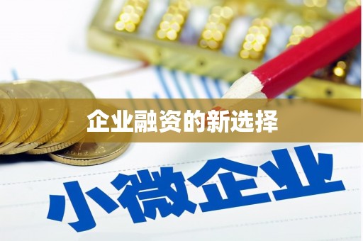 琼中企业融资的新选择