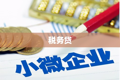 琼中税务贷
