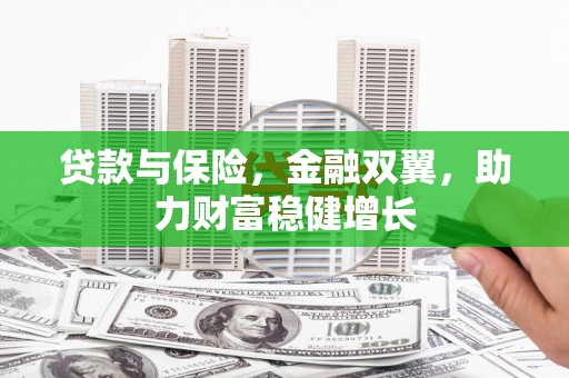 琼中贷款与保险，金融双翼，助力财富稳健增长
