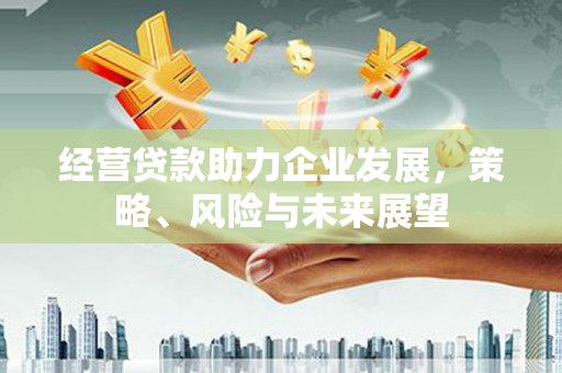琼中经营贷款助力企业发展，策略、风险与未来展望