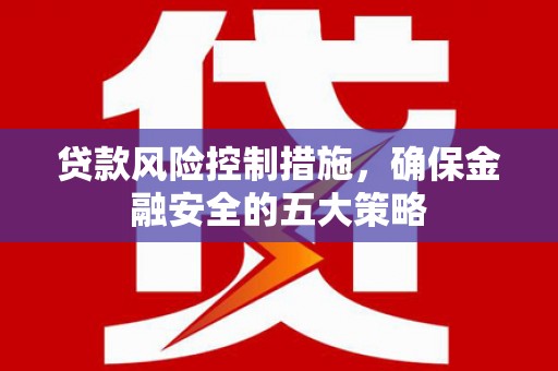 琼中贷款风险控制措施，确保金融安全的五大策略