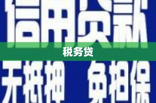 琼中税务贷