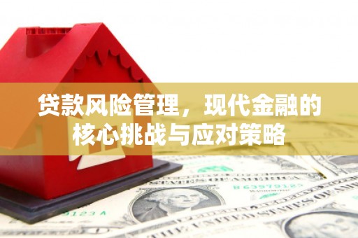 琼中贷款风险管理，现代金融的核心挑战与应对策略