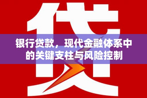 琼中银行贷款，现代金融体系中的关键支柱与风险控制