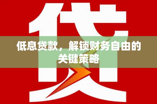 琼中低息贷款，解锁财务自由的关键策略