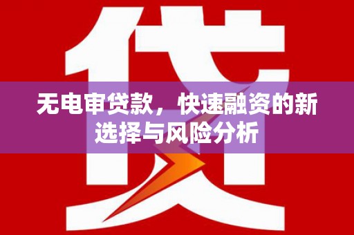 琼中无电审贷款，快速融资的新选择与风险分析