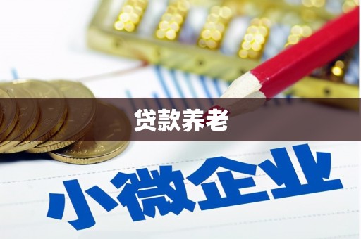 琼中贷款养老