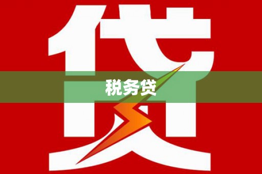 琼中税务贷