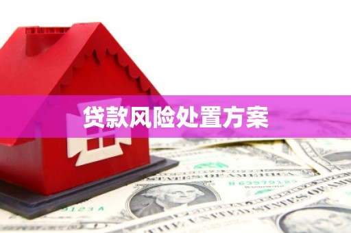琼中贷款风险处置方案