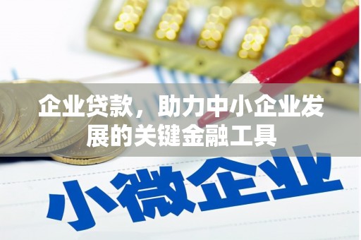 琼中企业贷款，助力中小企业发展的关键金融工具