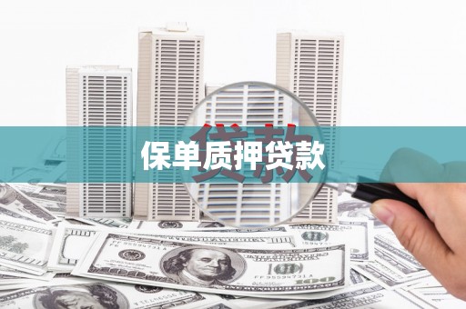 琼中保单质押贷款