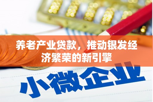 琼中养老产业贷款，推动银发经济繁荣的新引擎