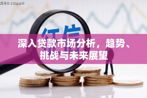 琼中深入贷款市场分析，趋势、挑战与未来展望
