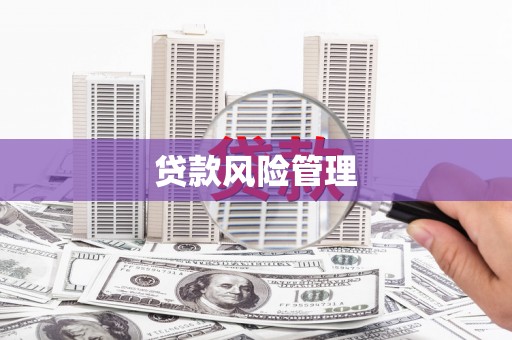 琼中贷款风险管理