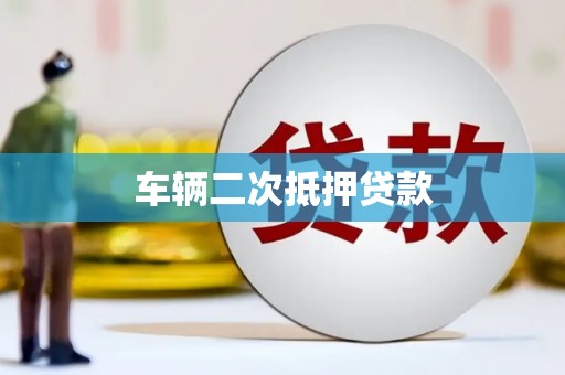 琼中车辆二次抵押贷款