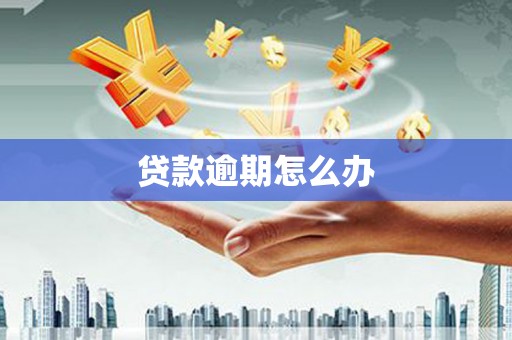 琼中贷款逾期怎么办