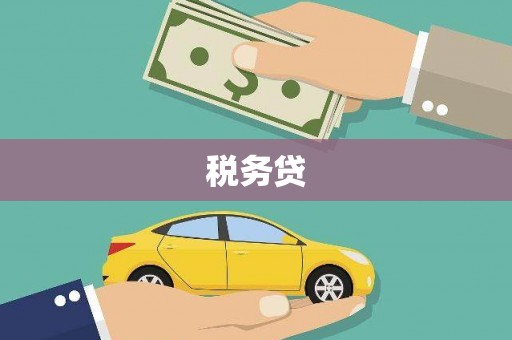 琼中税务贷