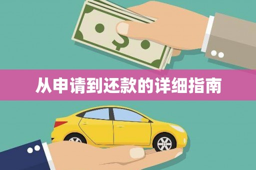 琼中从申请到还款的详细指南