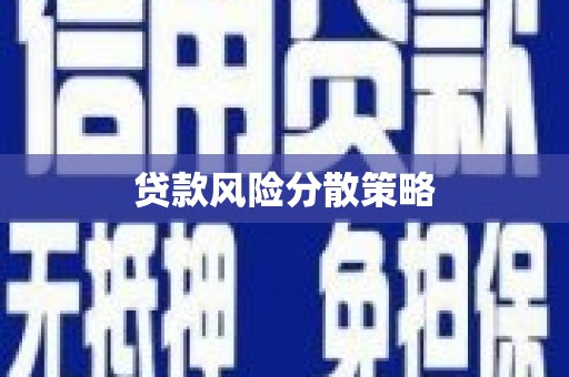 琼中贷款风险分散策略