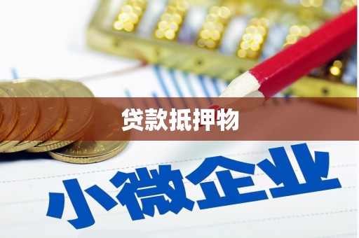 琼中贷款抵押物