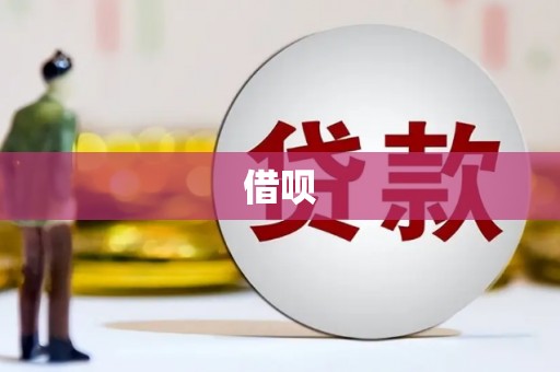 琼中借呗